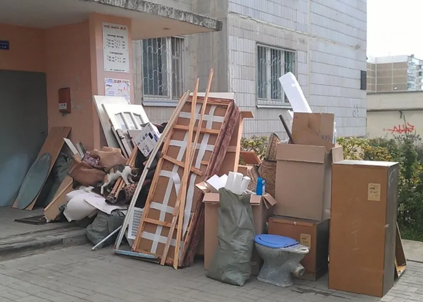 Профессиональный вывоз мусора из квартиры в Махачкале в октябре