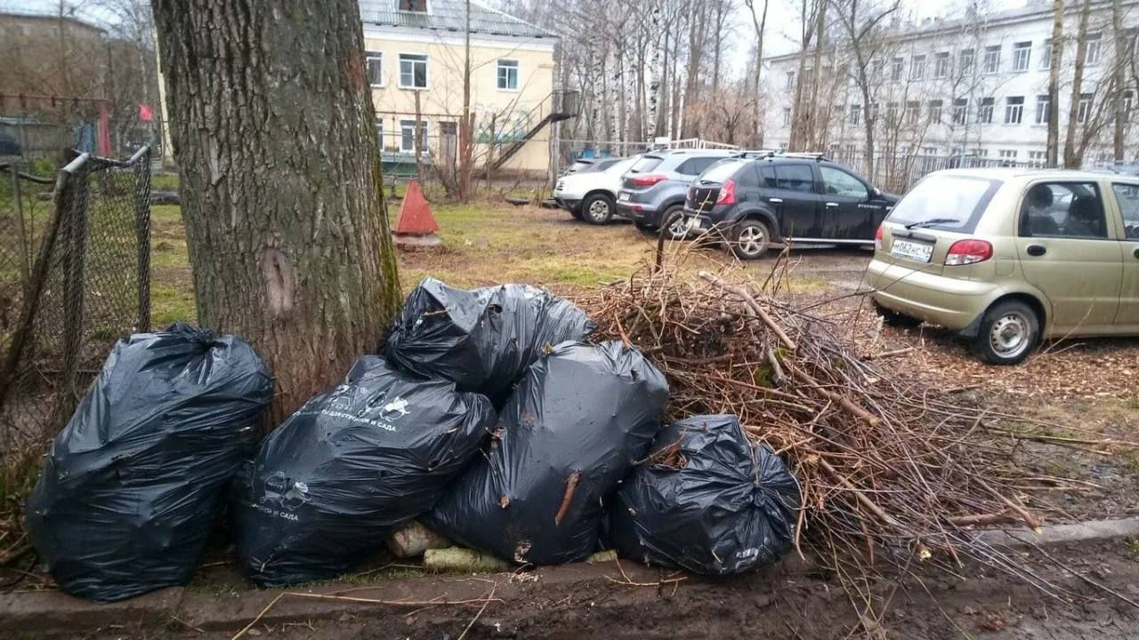 Вывоз мусора после субботника в Махачкале от ПроМусор – уборка и утилизация отходов от 2433 руб