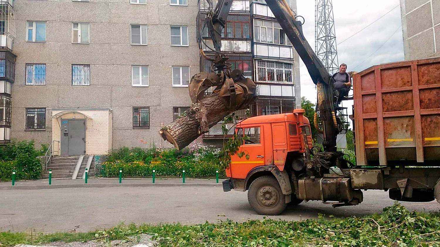 Вывоз спиленных веток и деревьев в Махачкале от ПроМусор: порубочные остатки, утилизация, цена от 3003 руб