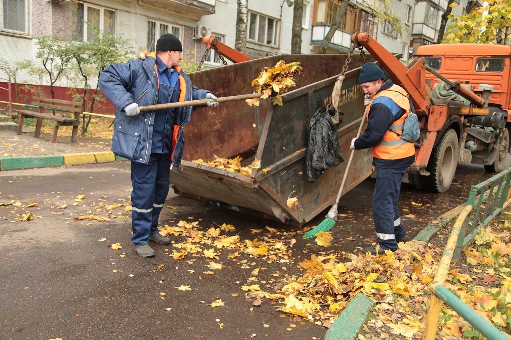 Вывоз опавшей листвы и растительного мусора в Махачкале от ПроМусор – цена от 4660 руб., быстрая уборка и утилизация